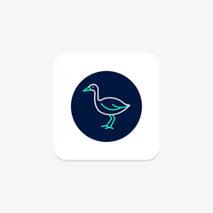 Lapwing, vector, pixel perfect, illustrator file