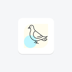 Pigeon, vector, pixel perfect, illustrator file