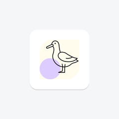 Albatross, vector, pixel perfect, illustrator file