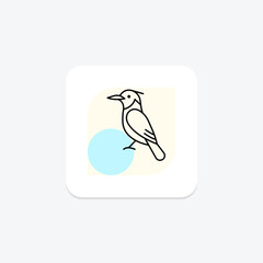 Kingfisher, vector, pixel perfect, illustrator file
