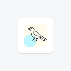Magpie, vector, pixel perfect, illustrator file