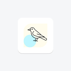 Fototapeta premium Blackbird, vector, pixel perfect, illustrator file