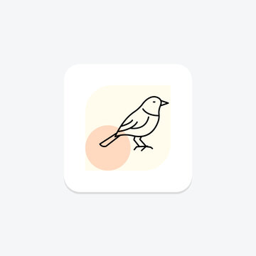 Warbler, vector, pixel perfect, illustrator file