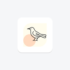 Obraz premium Thrush, vector, pixel perfect, illustrator file