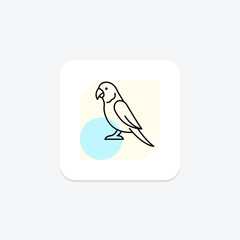 Parakeet, vector, pixel perfect, illustrator file