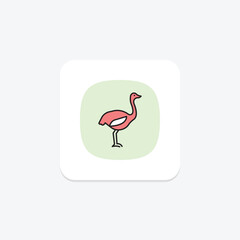 Ostrich, vector, pixel perfect, illustrator file