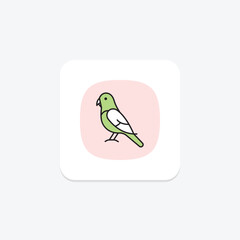 Budgie, vector, pixel perfect, illustrator file
