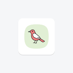 Cochin, vector, pixel perfect, illustrator file