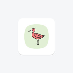 Avocet, vector, pixel perfect, illustrator file