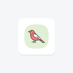 Siskin, vector, pixel perfect, illustrator file