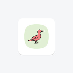 Gannet, vector, pixel perfect, illustrator file