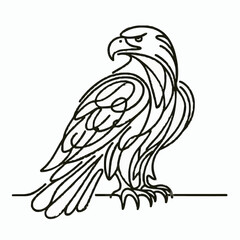 eagle vector illustration