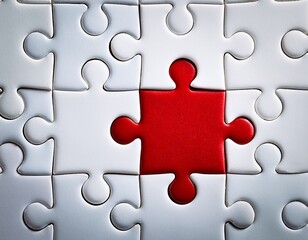 red puzzle piece fitting into white puzzle symbolizing customized solutions