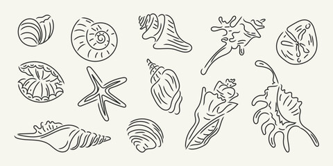 Hand drawn minimalist seashell and starfish doodle set. Coastal ocean elements. Perfect for summer, beach, and nautical designs, prints, postcards, invitations. Italian ink sketch dolce vita