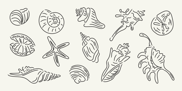 Hand drawn minimalist seashell and starfish doodle set. Coastal ocean elements. Perfect for summer, beach, and nautical designs, prints, postcards, invitations. Italian ink sketch dolce vita