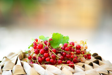groseilles sur la table du jardin