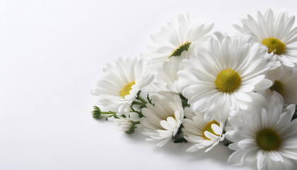 Obraz premium Margaret flower Generated image