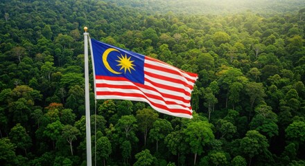 Malaysia Flag Rainforest Canopy Landscape Background