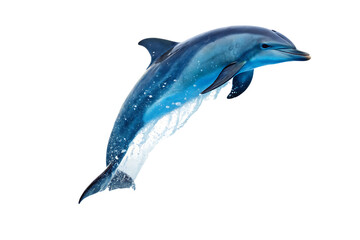Dynamic Dolphin Leap – Vibrant Minimalist Marine Art in png