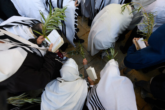 Orthodox Jewish worshippers wearing prayer shawls hold willow branches and smash them on the ground during special prayer services on the Jewish holiday of Hoshana Rabba in Israel.