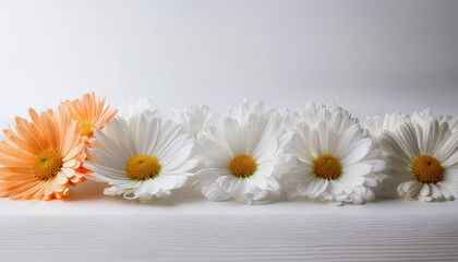 Obraz premium Margaret flower Generated image