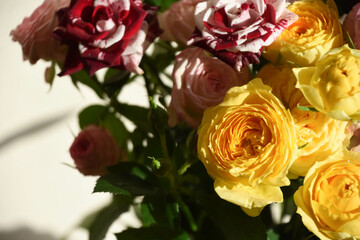 カラフルなばら