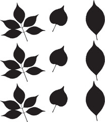 Fototapeta premium Silhouette leaf vector , illustration, art, design in white background. 