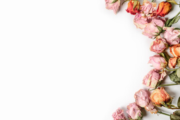 Dried roses that retain their elegance even after wilting. Atmosphere of nostalgia and romance.
