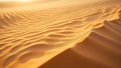 Sand Dune Ripples in Desert Landscape Golden Hour