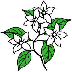 Lemon Blossom with Green Leaves Vector Design