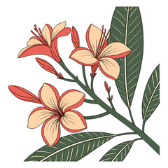 Plumeria Flower Branch with Green Leaves Vector