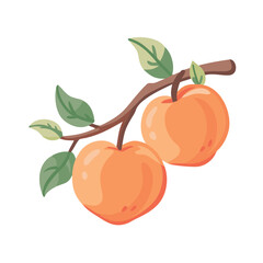 Peach Fruit Vector with Leaves Illustration