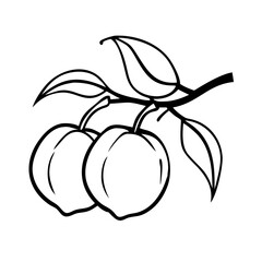Peach Fruit Outline Vector with Leaves