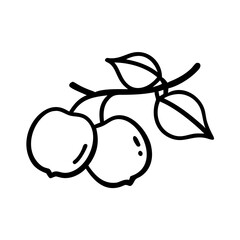 Minimalistic Peach Outline Vector