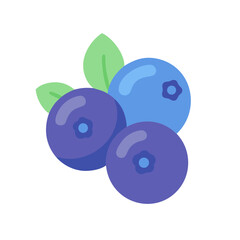 Flat Blueberry Fruit Vector