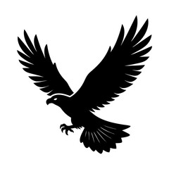 Fototapeta premium Soaring eagle vector graphic design illustration silhouette