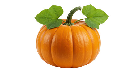 Isolated Ripe Orange Pumpkin with Green Stem and Leaves