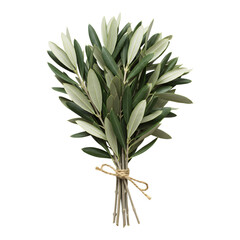 Obraz premium Fresh Green Olive Plant Bundle