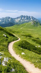 Winding mountain trail through verdant alpine meadow towards majestic peaks under a clear blue sky