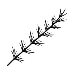 Fototapeta premium feather isolated on white background