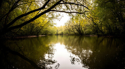 Fototapeta premium Tranquil Forest River Scene With Reflections