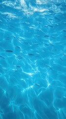 Sunlight dappled blue water, many fish swim.