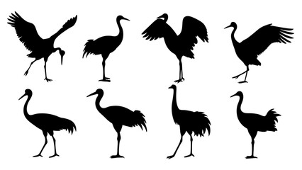 Fototapeta premium set of sandhill silhouette vector on white background