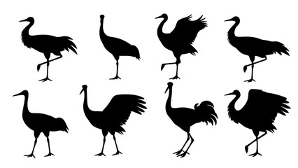 Fototapeta premium set of sandhill silhouette vector on white background