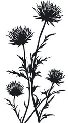 Obraz premium Minimalist Black and White Thistle Vector Design for Printing and Cutting