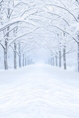 Snow-covered path through a wintry tree tunnel