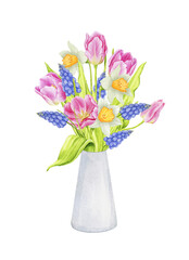 Bouquet of spring flowers in a vase: tulips, daffodils, muscari. Watercolor design element for cards, invitations etc. Spring, Mother's Day, Wedding, Women's Day, Birthday. Hand drawn illustration.
