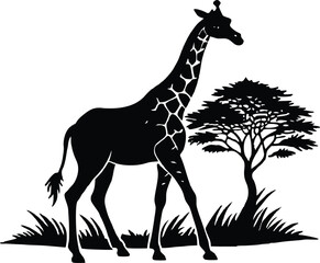 Giraffe Walking Across Plains Silhouette