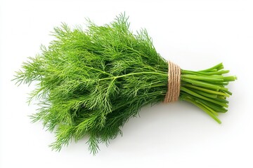 Fresh dill bunch tied with brown string, perfect for cooking, garnishing, or enhancing garden aesthetics showcased against a clean white backdrop