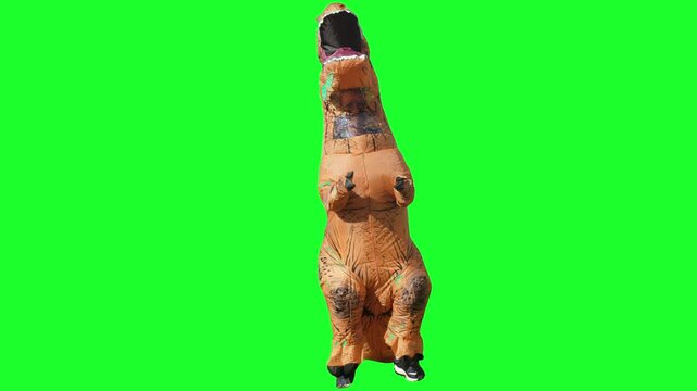 A man dressed in a funny blow-up dinosaur costume dances. Green screen.	